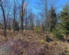 Lot 9 Chickadee Drive, Davis, West Virginia 26260, ,Lots/land,For Sale,Chickadee,10159748