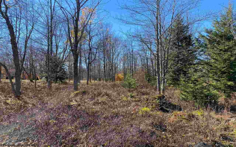 Lot 9 Chickadee Drive, Davis, West Virginia 26260, ,Lots/land,For Sale,Chickadee,10159748