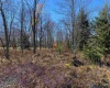 Lot 9 Chickadee Drive, Davis, West Virginia 26260, ,Lots/land,For Sale,Chickadee,10159748