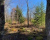 Lot 9 Chickadee Drive, Davis, West Virginia 26260, ,Lots/land,For Sale,Chickadee,10159748