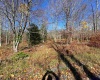 Lot 9 Chickadee Drive, Davis, West Virginia 26260, ,Lots/land,For Sale,Chickadee,10159748