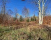 Lot 9 Chickadee Drive, Davis, West Virginia 26260, ,Lots/land,For Sale,Chickadee,10159748