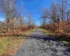 Lot 9 Chickadee Drive, Davis, West Virginia 26260, ,Lots/land,For Sale,Chickadee,10159748