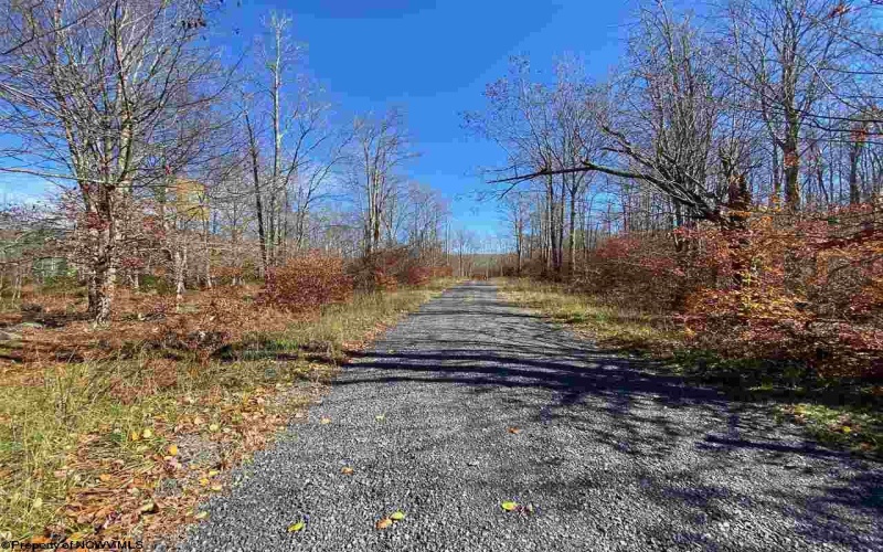 Lot 9 Chickadee Drive, Davis, West Virginia 26260, ,Lots/land,For Sale,Chickadee,10159748