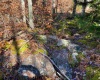 Lot 9 Chickadee Drive, Davis, West Virginia 26260, ,Lots/land,For Sale,Chickadee,10159748