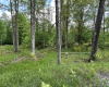Lot 9 Chickadee Drive, Davis, West Virginia 26260, ,Lots/land,For Sale,Chickadee,10159748