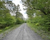 Lot 9 Chickadee Drive, Davis, West Virginia 26260, ,Lots/land,For Sale,Chickadee,10159748