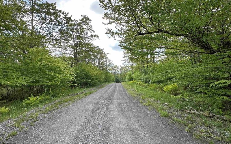 Lot 9 Chickadee Drive, Davis, West Virginia 26260, ,Lots/land,For Sale,Chickadee,10159748