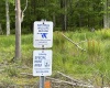 Lot 9 Chickadee Drive, Davis, West Virginia 26260, ,Lots/land,For Sale,Chickadee,10159748