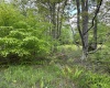 Lot 9 Chickadee Drive, Davis, West Virginia 26260, ,Lots/land,For Sale,Chickadee,10159748