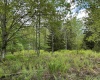 Lot 9 Chickadee Drive, Davis, West Virginia 26260, ,Lots/land,For Sale,Chickadee,10159748