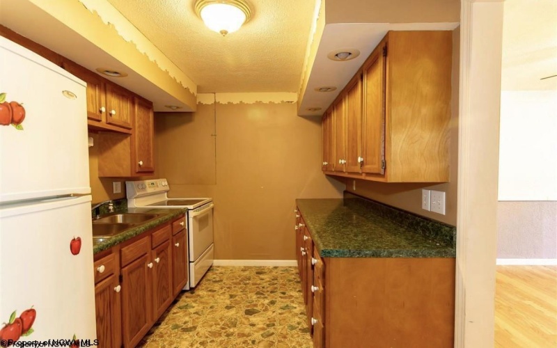 40, 42, 48, 50 Harley Drive, Morgantown, West Virginia 26508, ,Multi-unit/income,For Sale,Harley,10159768