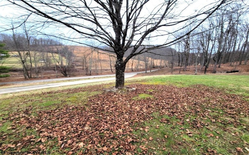 643 Festus Ridge, Worthington, West Virginia 26591, 2 Bedrooms Bedrooms, 5 Rooms Rooms,1 BathroomBathrooms,Single Family Detached,For Sale,Festus,10158087