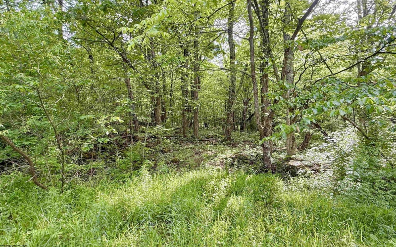 TBD FAIRVIEW HILL Road, Moatsville, West Virginia 26405, ,Lots/land,For Sale,FAIRVIEW HILL,10159786