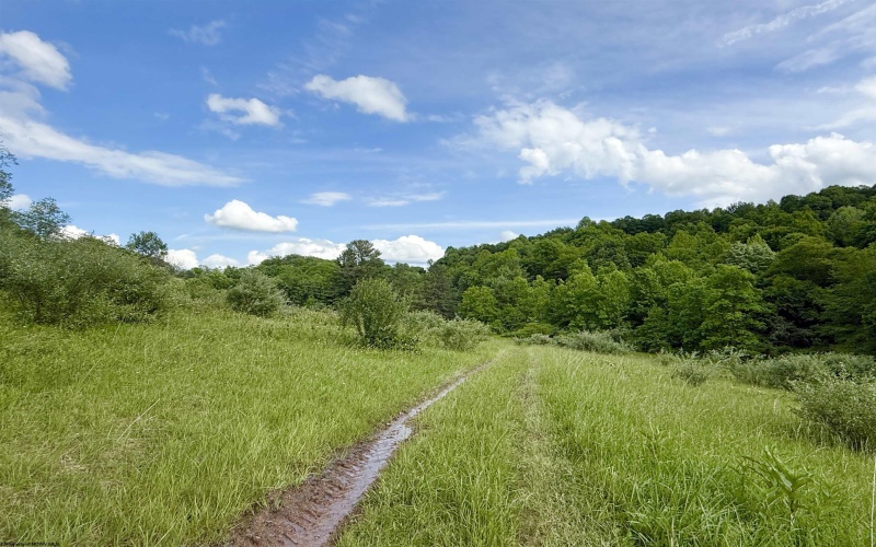 TBD FAIRVIEW HILL Road, Moatsville, West Virginia 26405, ,Lots/land,For Sale,FAIRVIEW HILL,10159786