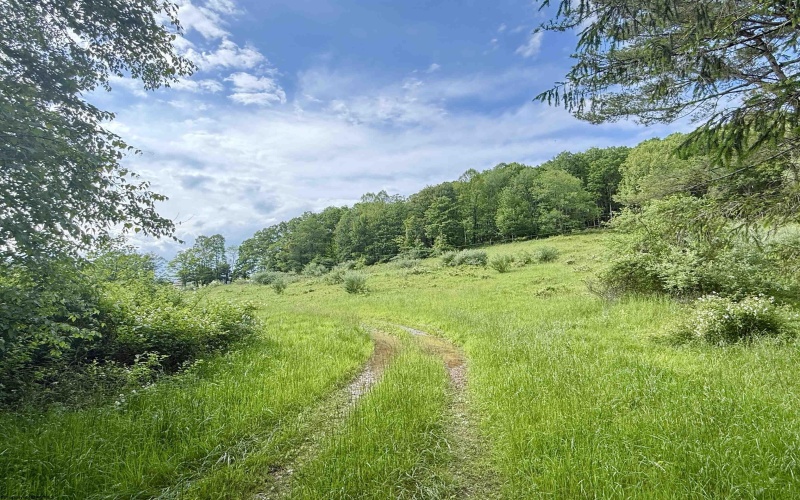 TBD FAIRVIEW HILL Road, Moatsville, West Virginia 26405, ,Lots/land,For Sale,FAIRVIEW HILL,10159786