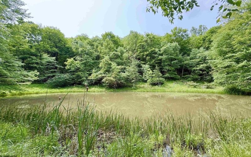 TBD FAIRVIEW HILL Road, Moatsville, West Virginia 26405, ,Lots/land,For Sale,FAIRVIEW HILL,10159786
