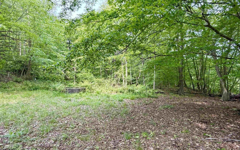 TBD FAIRVIEW HILL Road, Moatsville, West Virginia 26405, ,Lots/land,For Sale,FAIRVIEW HILL,10159786
