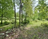 TBD FAIRVIEW HILL Road, Moatsville, West Virginia 26405, ,Lots/land,For Sale,FAIRVIEW HILL,10159786