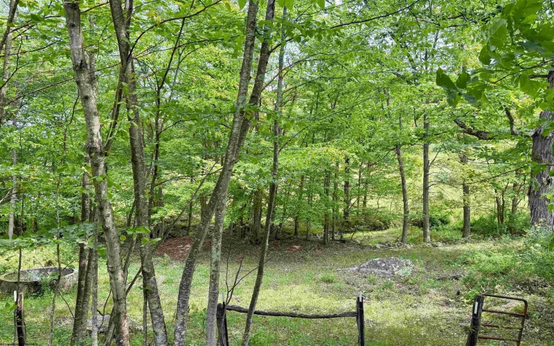 TBD FAIRVIEW HILL Road, Moatsville, West Virginia 26405, ,Lots/land,For Sale,FAIRVIEW HILL,10159786