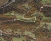TBD FAIRVIEW HILL Road, Moatsville, West Virginia 26405, ,Lots/land,For Sale,FAIRVIEW HILL,10159786