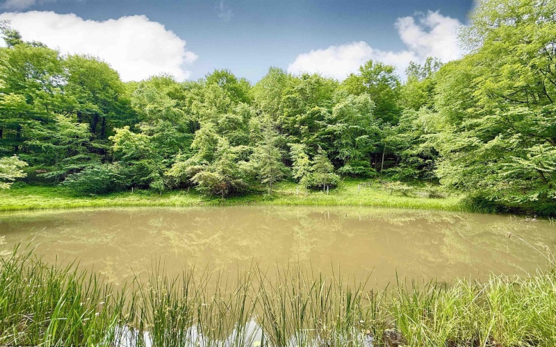 TBD FAIRVIEW HILL Road, Moatsville, West Virginia 26405, ,Lots/land,For Sale,FAIRVIEW HILL,10159786