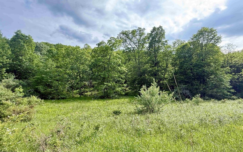 TBD FAIRVIEW HILL Road, Moatsville, West Virginia 26405, ,Lots/land,For Sale,FAIRVIEW HILL,10159786