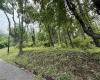 TBD Harner Street, Morgantown, West Virginia 26501, ,Lots/land,For Sale,Harner,10159783