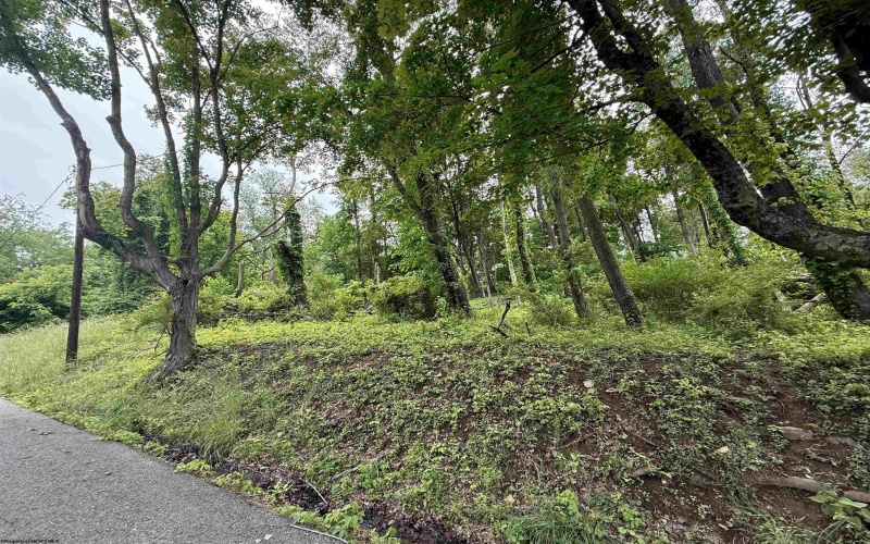TBD Harner Street, Morgantown, West Virginia 26501, ,Lots/land,For Sale,Harner,10159783