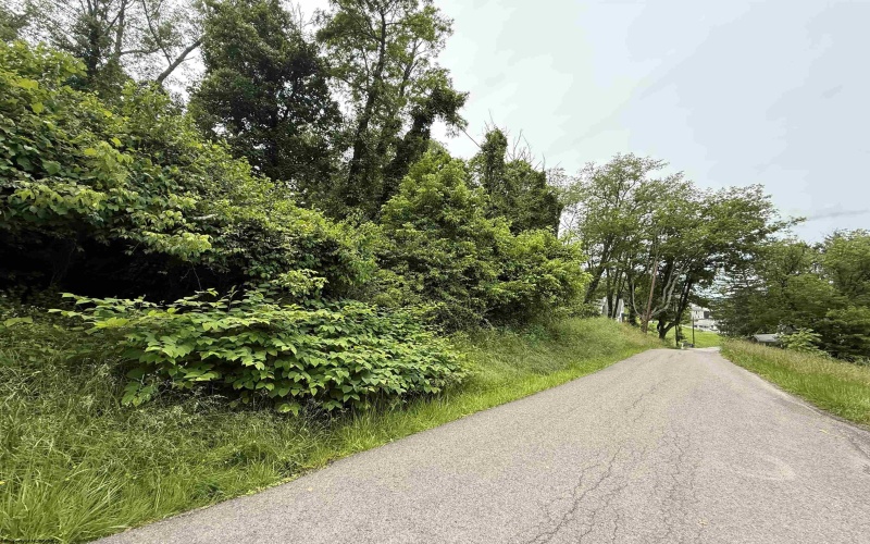 TBD Harner Street, Morgantown, West Virginia 26501, ,Lots/land,For Sale,Harner,10159783