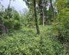 TBD Harner Street, Morgantown, West Virginia 26501, ,Lots/land,For Sale,Harner,10159783