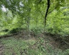 TBD Harner Street, Morgantown, West Virginia 26501, ,Lots/land,For Sale,Harner,10159783