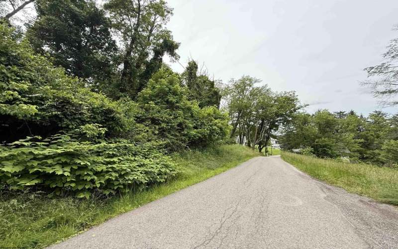 TBD Harner Street, Morgantown, West Virginia 26501, ,Lots/land,For Sale,Harner,10159783