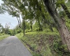 TBD Harner Street, Morgantown, West Virginia 26501, ,Lots/land,For Sale,Harner,10159783