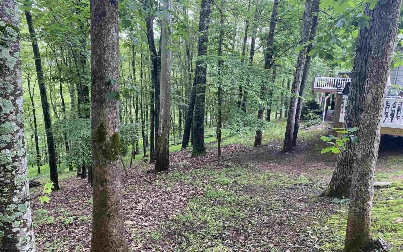 328 Wildwood Drive, Horner, West Virginia 26372, 4 Bedrooms Bedrooms, 10 Rooms Rooms,3 BathroomsBathrooms,Single Family Detached,For Sale,Wildwood,10159794