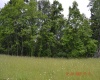 805 Fiddlers Glen Road, Heaters, West Virginia 26627, ,Lots/land,For Sale,Fiddlers Glen,10159804