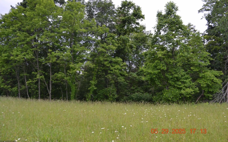 805 Fiddlers Glen Road, Heaters, West Virginia 26627, ,Lots/land,For Sale,Fiddlers Glen,10159804
