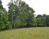 805 Fiddlers Glen Road, Heaters, West Virginia 26627, ,Lots/land,For Sale,Fiddlers Glen,10159804