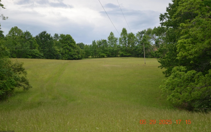 805 Fiddlers Glen Road, Heaters, West Virginia 26627, ,Lots/land,For Sale,Fiddlers Glen,10159804