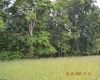 805 Fiddlers Glen Road, Heaters, West Virginia 26627, ,Lots/land,For Sale,Fiddlers Glen,10159804