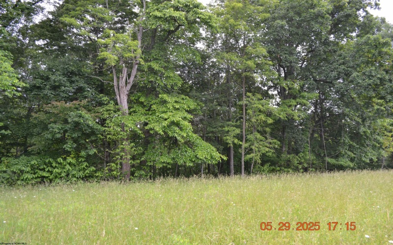 805 Fiddlers Glen Road, Heaters, West Virginia 26627, ,Lots/land,For Sale,Fiddlers Glen,10159804