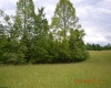805 Fiddlers Glen Road, Heaters, West Virginia 26627, ,Lots/land,For Sale,Fiddlers Glen,10159804