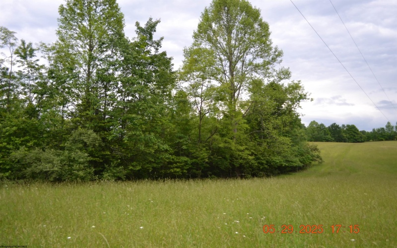 805 Fiddlers Glen Road, Heaters, West Virginia 26627, ,Lots/land,For Sale,Fiddlers Glen,10159804