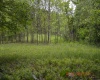 805 Fiddlers Glen Road, Heaters, West Virginia 26627, ,Lots/land,For Sale,Fiddlers Glen,10159804