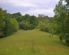 805 Fiddlers Glen Road, Heaters, West Virginia 26627, ,Lots/land,For Sale,Fiddlers Glen,10159804