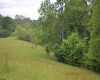 805 Fiddlers Glen Road, Heaters, West Virginia 26627, ,Lots/land,For Sale,Fiddlers Glen,10159804