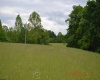 805 Fiddlers Glen Road, Heaters, West Virginia 26627, ,Lots/land,For Sale,Fiddlers Glen,10159804
