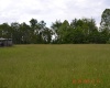 805 Fiddlers Glen Road, Heaters, West Virginia 26627, ,Lots/land,For Sale,Fiddlers Glen,10159804