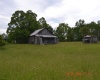 805 Fiddlers Glen Road, Heaters, West Virginia 26627, ,Lots/land,For Sale,Fiddlers Glen,10159804