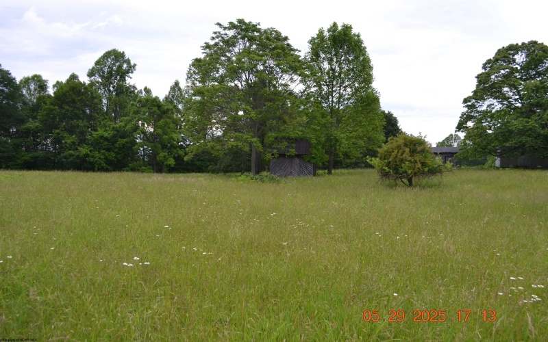 805 Fiddlers Glen Road, Heaters, West Virginia 26627, ,Lots/land,For Sale,Fiddlers Glen,10159804